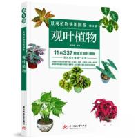 正版新书]景观植物实用图鉴(第4辑):观叶植物薛聪贤978756804