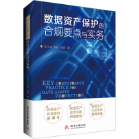 正版新书]数据资产保护的合规要点与实务辛小天,周杨,史蕾978757