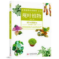 正版新书]景观植物实用图鉴(第5辑):观叶植物薛聪贤978756804