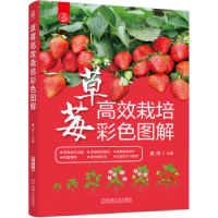 正版新书]草莓高效栽培彩色图解路河 主编9787111729693