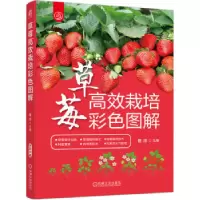 正版新书]草莓高效栽培彩色图解路河 主编9787111729693