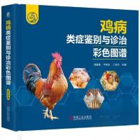 正版新书]鸡病类症鉴别与诊治彩色图谱 刘建柱刘建柱牛绪东丁庆