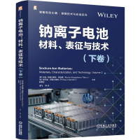 正版新书]钠离子电池:材料、表征与技术(下卷)[罗马尼亚]玛拉