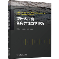 正版新书]页岩多尺度各向异性力学行为李英杰,王炳乾,张亮 编978