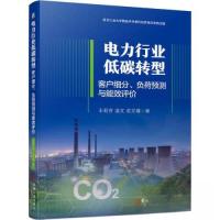 正版新书]电力行业低碳转型 客户细分、负荷预测与能效评价王莉