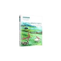 正版新书]永远的冠军小战马(加)欧内斯特·汤普森·西顿9787557541