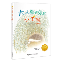正版新书]大人看不见的小王国:第三届接力杯金波幼儿文学奖美文
