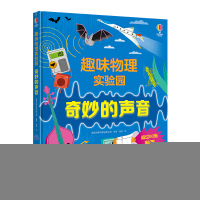 正版新书]尤斯伯恩·趣味物理实验园:神秘的光英国尤斯伯恩出版公