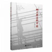 正版新书]脚手架上的中国 中国现当代文学朱旭东 编97875594580