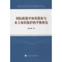正版新书]国际联盟中知识获取与本土知识保护的平衡研究陈效林97
