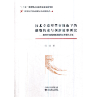 正版新书]技术专家型董事视角下的融资约束与创新效率研究:探寻