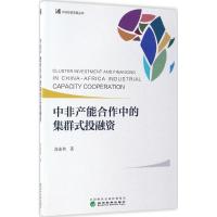 正版新书]中非产能合作中的集群式投融资高连和9787514177893