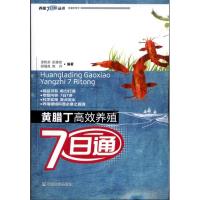 正版新书]黄腊丁高效养殖7日通漆乾余9787109150553