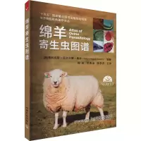 正版新书]绵羊寄生虫图谱(西)费利克斯·瓦尔卡塞·桑乔9787109300