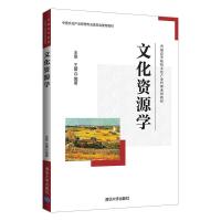 正版新书]文化资源学王晨、王媛 著9787302578666