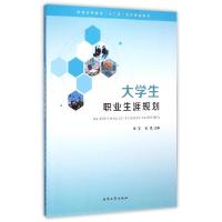正版新书]大学生职业生涯规划李花9787310046379