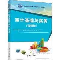 正版新书]审计基础与实务(微课版)陈小英、林晓娉、张仁杰、樊葵