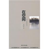 正版新书]在空间:城乡观察随笔杨宇振 著9787302311393