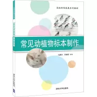 正版新书]常见动植物标本制作冯典兴,关明军9787302565826
