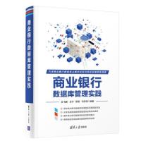 正版新书]商业银行数据库管理实践王飞鹏,王宁,张聪,马学涛 著97
