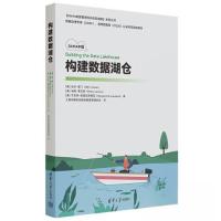 正版新书]构建数据湖仓美 玛丽·莱文斯 著;上海市静安区国际数