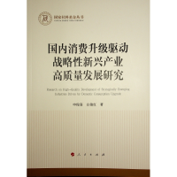 正版新书]国内消费升级驱动战略性新兴产业高质量发展研究申俊喜