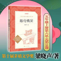 正版新书]慈母情深梁晓声 著9787020190706