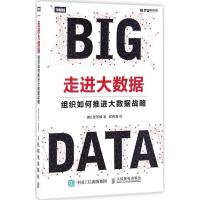 正版新书]走进大数据:组织如何推进大数据战略韩9787115438058