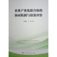 正版新书]农业产业化联合体的协同机制与绩效评价王艳荣,王瑞 著