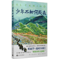 正版新书]少年不知何处去(西)米格尔•德利韦斯9787020185276