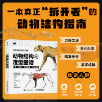 正版新书]动物结构与造型图谱 骨骼×肌肉×立体造型×生活百态汪敏