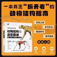 正版新书]动物结构与造型图谱 骨骼×肌肉×立体造型×生活百态汪敏