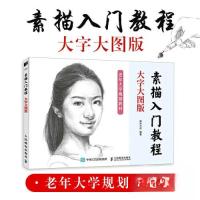正版新书]素描入门教程 大字大图版(绘客出品)灌木文化9787115