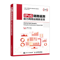 正版新书]IPV6随路遥测:助力网络运维新变革李振斌 杨平安 著97