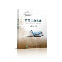 正版新书]智慧工业实践江勇 张恒9787115544711