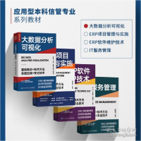 正版新书]大数据分析可视化 经济理论、法规李宗伟;张艳辉;苑