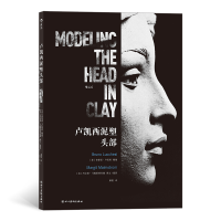 正版新书]卢凯西泥塑头部(意)布鲁诺·卢凯西9787541093685