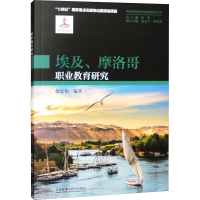 正版新书]埃及.摩洛哥职业教育研究徐宏伟9787521339871