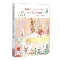 正版新书]什么也没有的故事孙建江著9787537985314