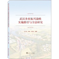 正版新书]武汉乡村振兴战略实施路径与方法研究王江萍、孙璐、王