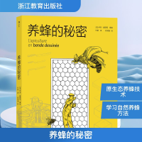 正版新书]养蜂的秘密竹珺 译 (法)伊夫·居斯坦 绘9787553697833