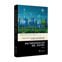 正版新书]复杂产品研发项目运行过程建模、仿真与优化张西林 著9