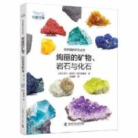 正版新书]绚丽的矿物、 岩石与化石[西]卡门·马图尔·埃尔南德斯9