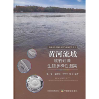 正版新书]黄河流域底栖硅藻生物多样性图集张曼 等 编9787109326