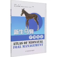 正版新书]新生马驹护理图谱朱怡平、高宇、[奥]克里斯蒂娜·奥里