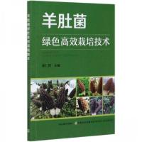 正版新书]羊肚菌绿色高效栽培技术杨仁德 编9787109272354