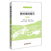 正版新书]整村调查报告(2020)耿明斋;刘涛9787513667739