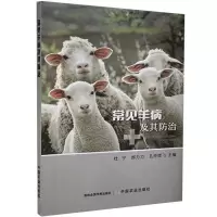 正版新书]常见羊病及其防治杜宁,郝力力,孔仲辉9787109276420