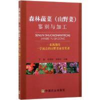正版新书]森林蔬菜鉴别与加工丁敏//倪荣新//宋艳冬978710925487