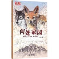 正版新书]何处家园杨保中9787514828733